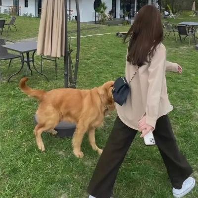 天下无坑